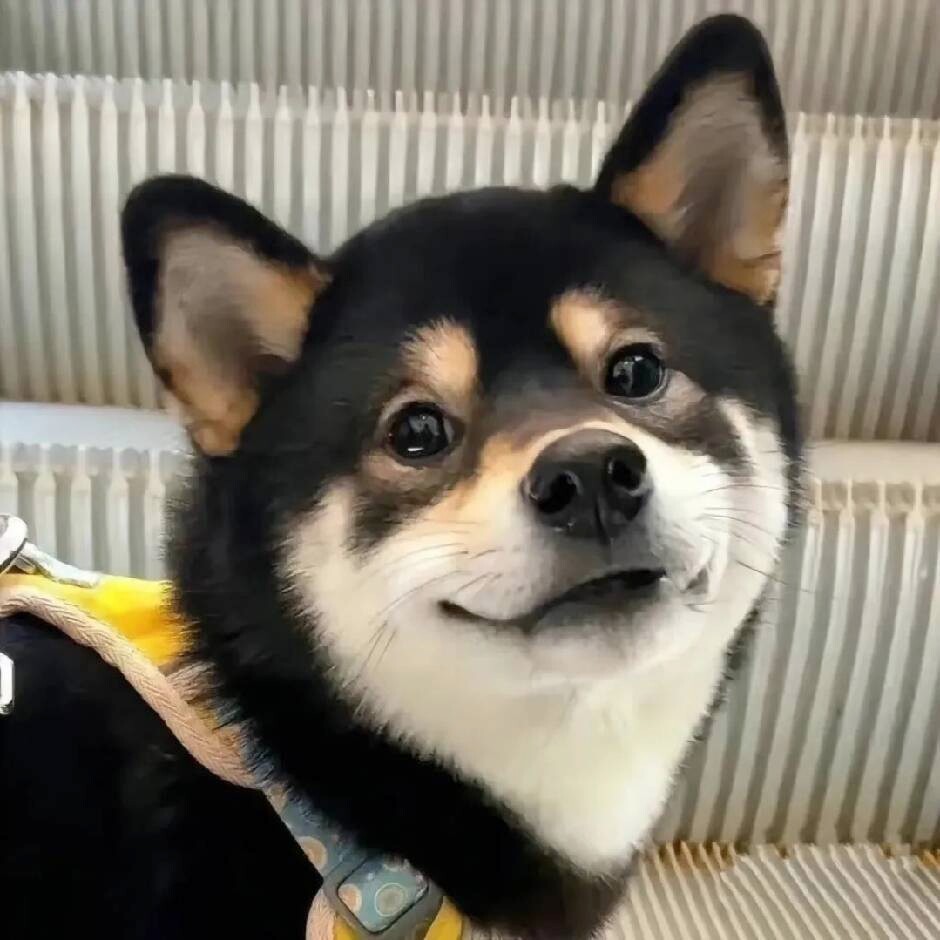 爻